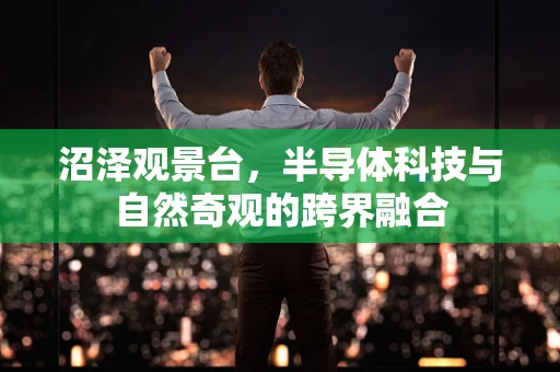 沼泽观景台，半导体科技与自然奇观的跨界融合