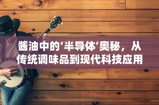 酱油中的‘半导体’奥秘，从传统调味品到现代科技应用的跨界探索