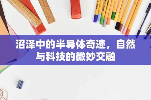 沼泽中的半导体奇迹，自然与科技的微妙交融