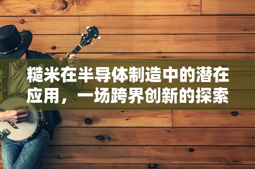 糙米在半导体制造中的潜在应用，一场跨界创新的探索