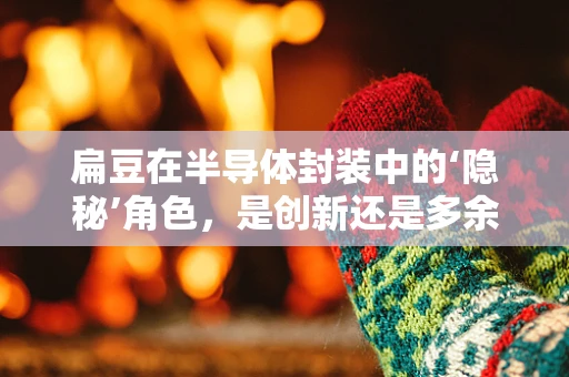 扁豆在半导体封装中的‘隐秘’角色，是创新还是多余？