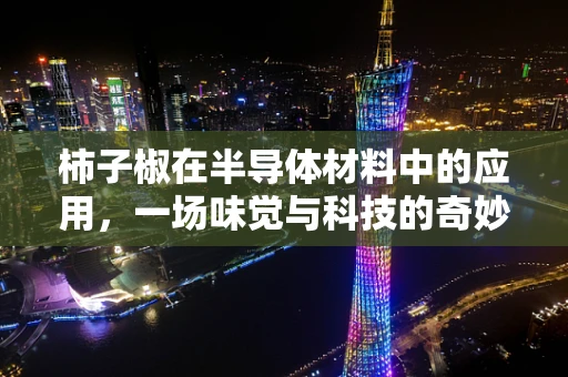 柿子椒在半导体材料中的应用，一场味觉与科技的奇妙碰撞？