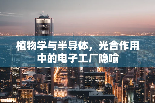 植物学与半导体，光合作用中的电子工厂隐喻