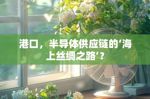 港口，半导体供应链的‘海上丝绸之路’？