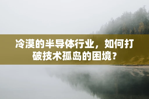 冷漠的半导体行业，如何打破技术孤岛的困境？