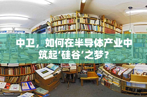 中卫，如何在半导体产业中筑起‘硅谷’之梦？