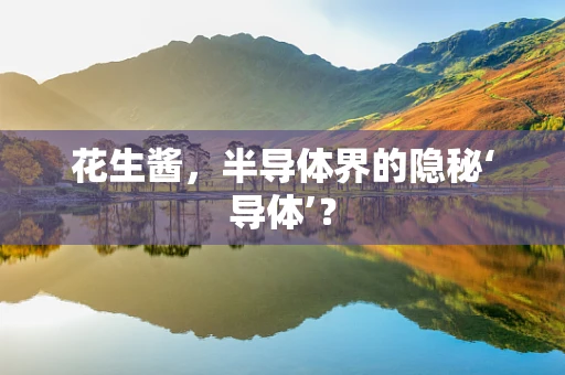 花生酱，半导体界的隐秘‘导体’？