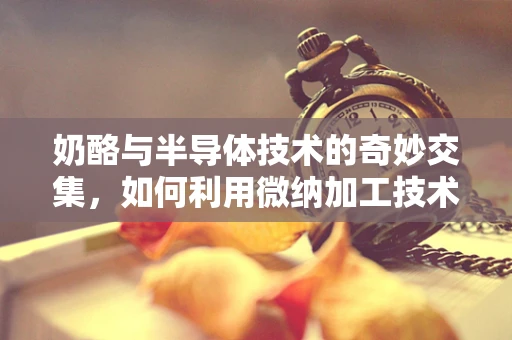 奶酪与半导体技术的奇妙交集，如何利用微纳加工技术为奶酪保鲜？