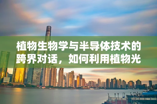 植物生物学与半导体技术的跨界对话，如何利用植物光合作用原理优化半导体光电器件？
