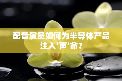 配音演员如何为半导体产品注入‘声’命？
