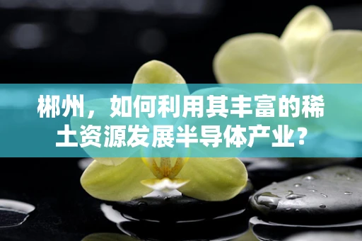 郴州，如何利用其丰富的稀土资源发展半导体产业？
