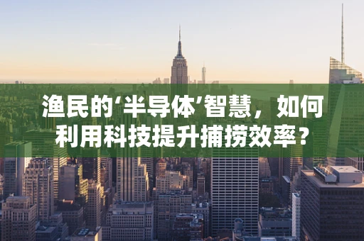 渔民的‘半导体’智慧，如何利用科技提升捕捞效率？