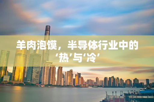 羊肉泡馍，半导体行业中的‘热’与‘冷’