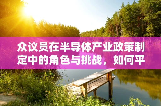 众议员在半导体产业政策制定中的角色与挑战，如何平衡创新与监管？