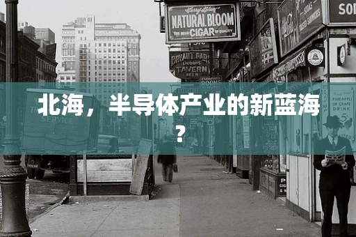 北海，半导体产业的新蓝海？