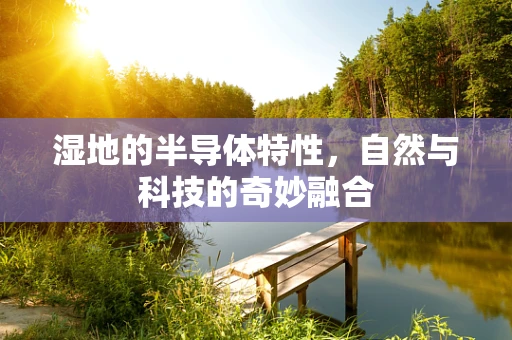 湿地的半导体特性，自然与科技的奇妙融合