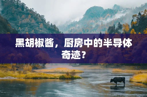 黑胡椒酱，厨房中的半导体奇迹？