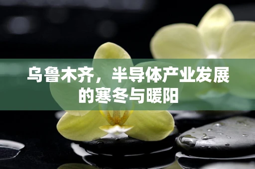 乌鲁木齐，半导体产业发展的寒冬与暖阳