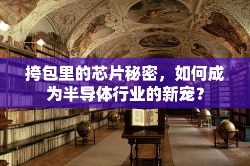 挎包里的芯片秘密，如何成为半导体行业的新宠？