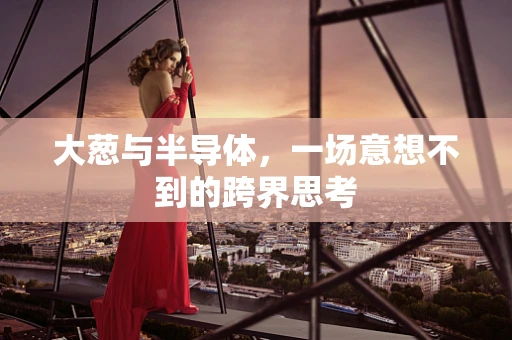 大葱与半导体，一场意想不到的跨界思考