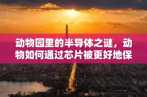 动物园里的半导体之谜，动物如何通过芯片被更好地保护？