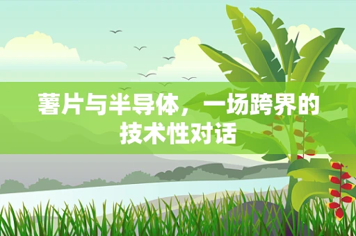 薯片与半导体，一场跨界的技术性对话