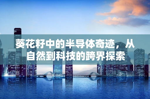 葵花籽中的半导体奇迹，从自然到科技的跨界探索