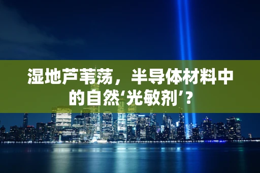 湿地芦苇荡，半导体材料中的自然‘光敏剂’？