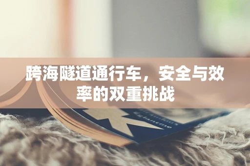 跨海隧道通行车，安全与效率的双重挑战