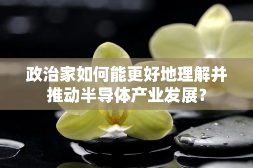 政治家如何能更好地理解并推动半导体产业发展？