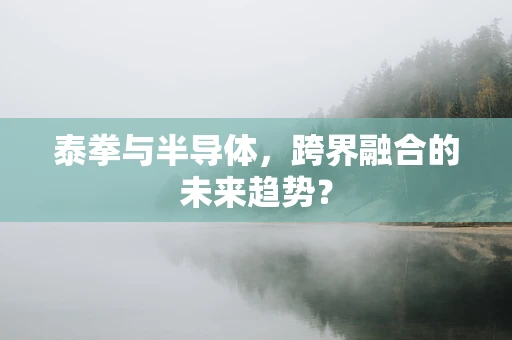 泰拳与半导体，跨界融合的未来趋势？