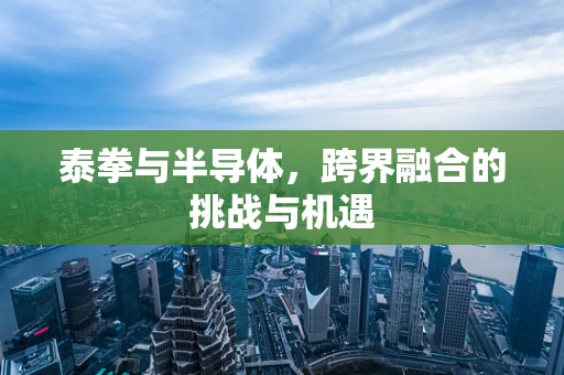 泰拳与半导体，跨界融合的挑战与机遇