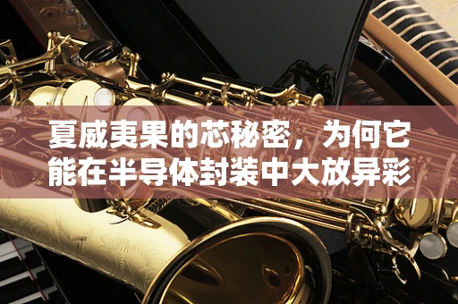 夏威夷果的芯秘密，为何它能在半导体封装中大放异彩？