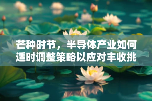芒种时节，半导体产业如何适时调整策略以应对丰收挑战？