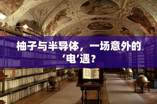 柚子与半导体，一场意外的‘电’遇？