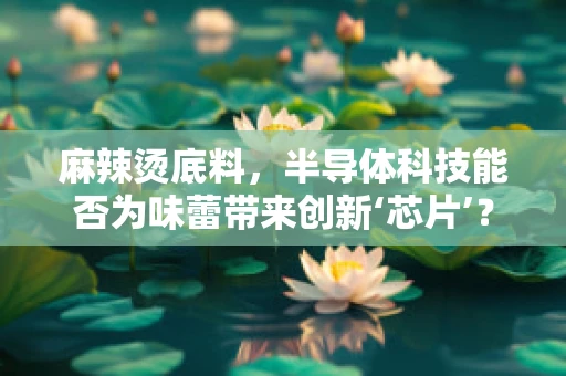 麻辣烫底料，半导体科技能否为味蕾带来创新‘芯片’？