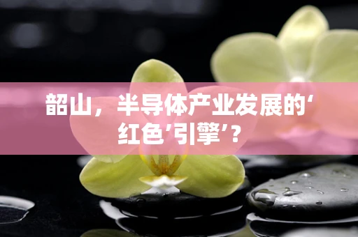 韶山，半导体产业发展的‘红色’引擎’？