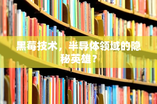 黑莓技术，半导体领域的隐秘英雄？