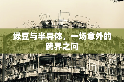 绿豆与半导体，一场意外的跨界之问