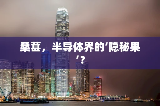 桑葚，半导体界的‘隐秘果’？