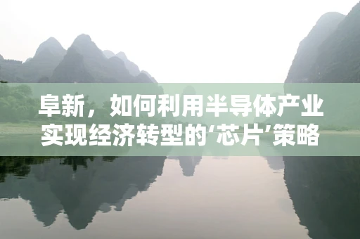 阜新，如何利用半导体产业实现经济转型的‘芯片’策略？