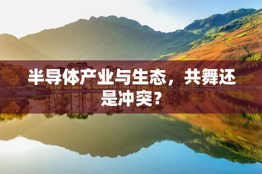 半导体产业与生态，共舞还是冲突？