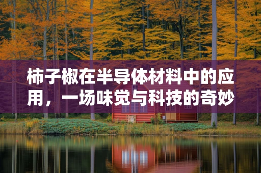 柿子椒在半导体材料中的应用，一场味觉与科技的奇妙碰撞？