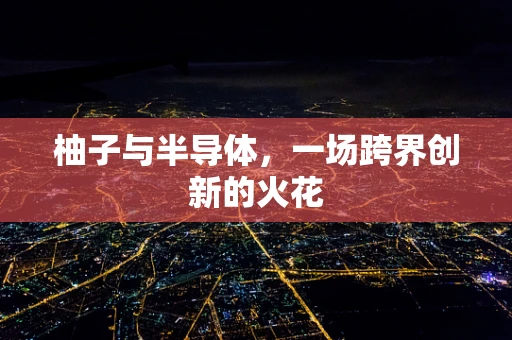 柚子与半导体，一场跨界创新的火花