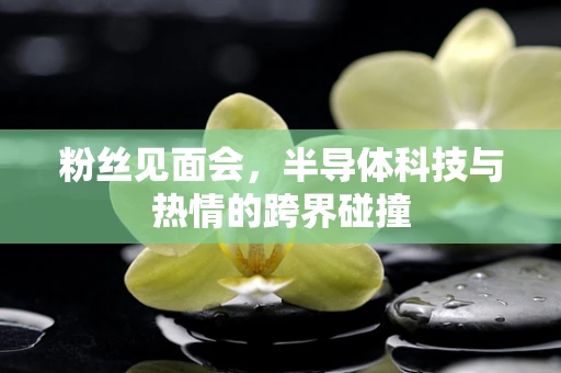 粉丝见面会，半导体科技与热情的跨界碰撞