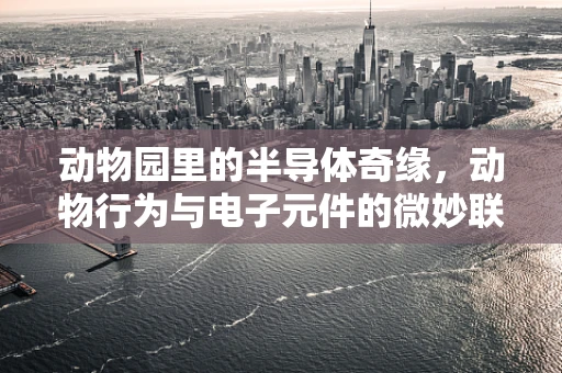动物园里的半导体奇缘，动物行为与电子元件的微妙联系