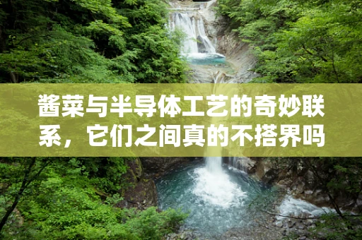 酱菜与半导体工艺的奇妙联系，它们之间真的不搭界吗？