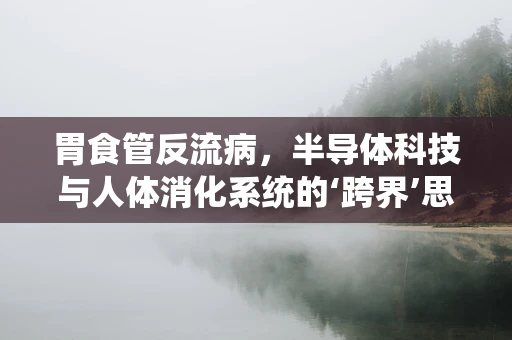 胃食管反流病，半导体科技与人体消化系统的‘跨界’思考？