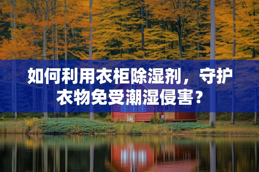 如何利用衣柜除湿剂，守护衣物免受潮湿侵害？