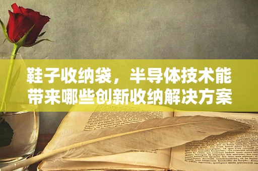 鞋子收纳袋，半导体技术能带来哪些创新收纳解决方案？